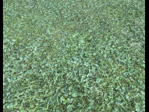 pacote de terreno florestal 25 Texturas CG