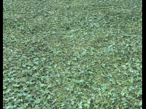 forest terrain pack 25 CG Textures
