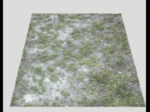pacote de terreno florestal 25 Texturas CG