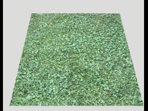 pacote de terreno florestal 25 Texturas CG