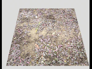 pacote de terreno florestal 25 Texturas CG