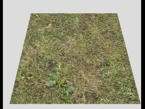 pacote de terreno florestal 25 Texturas CG