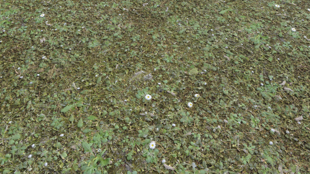 forest terrain pack 26 CG Tekstury .c4d .max .obj .3ds .fbx .stl .blend 