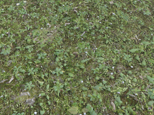 forest terrain pack 26 CG Tekstury