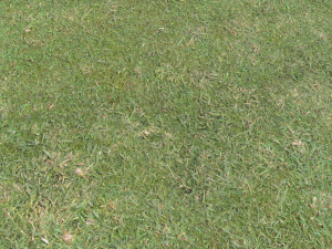 forest terrain pack 26 CG Tekstury