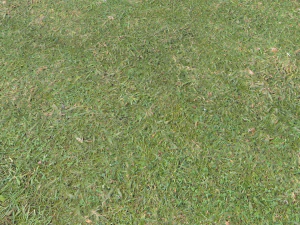 forest terrain pack 26 CG Textures