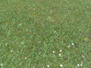 forest terrain pack 26 CG Tekstury
