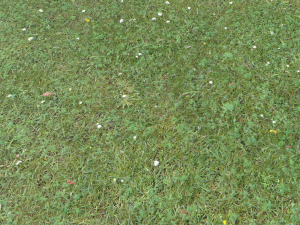forest terrain pack 26 CG Tekstury