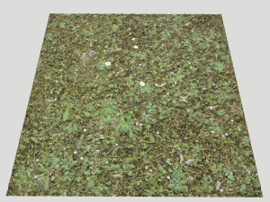 forest terrain pack 26 CG Tekstury