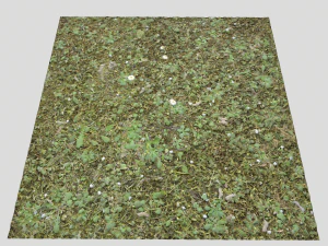 forest terrain pack 26 CG Textures