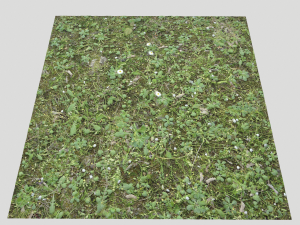 forest terrain pack 26 CG Tekstury