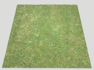 forest terrain pack 26 CG Textures