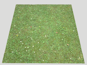 forest terrain pack 26 CG Tekstury
