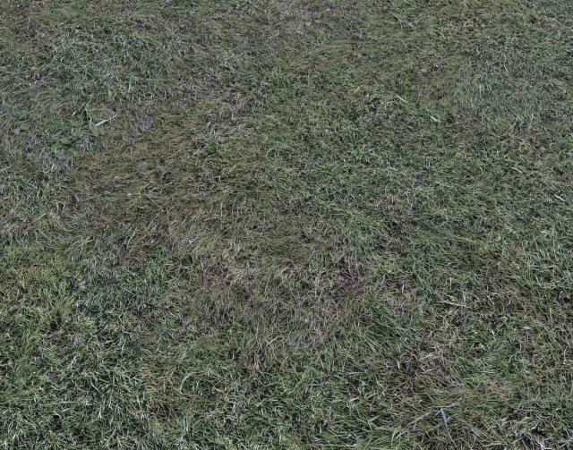dark grass CG Текстури .c4d .max .obj .3ds .fbx .stl .blend 