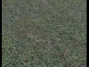 dark grass CG Textures
