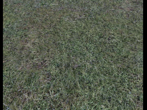 dark grass CG Textures