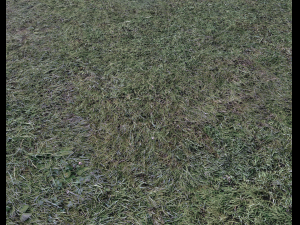 dark grass CG Текстури