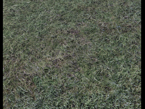 dark grass CG Текстури