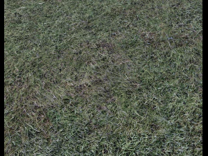 dark grass CG Textures