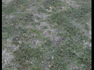 dark grass CG Текстури