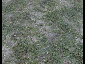 dark grass CG Textures