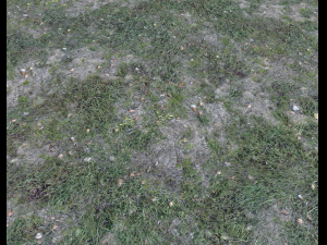 dark grass CG Текстури