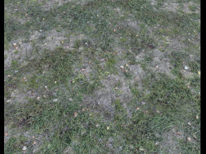 dark grass CG Textures