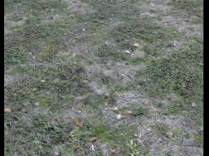 dark grass CG Текстури