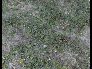 dark grass CG Textures