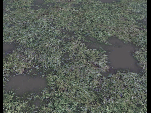 dark grass CG Текстури