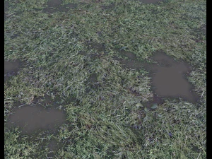 dark grass CG Textures