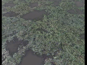 dark grass CG Textures