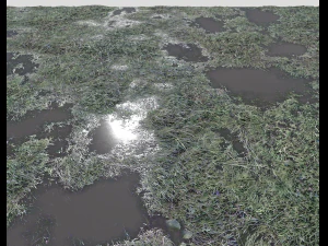dark grass CG Textures