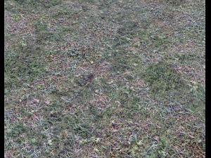 dark grass CG Textures