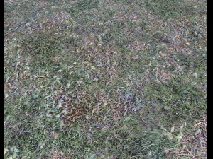 dark grass CG Textures
