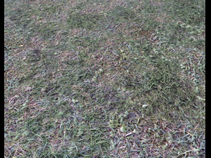 dark grass CG Текстури