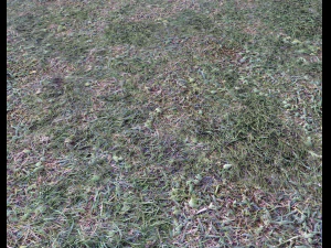 dark grass CG Textures