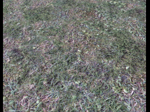 dark grass CG Текстури