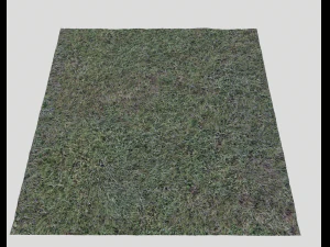 dark grass CG Textures