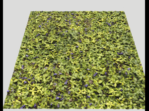 ground plants 1 CG Textures