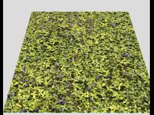 ground plants 1 CG Textures