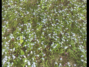 ground plants 2 CG Textures