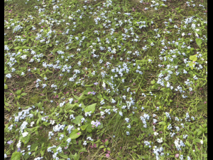 ground plants 2 CG Текстури