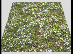 ground plants 2 CG Textures