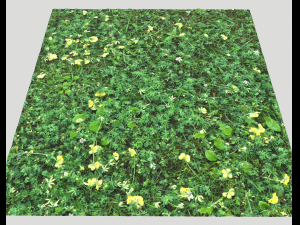 ground plants 2 CG Текстури