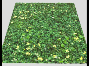 ground plants 2 CG Textures