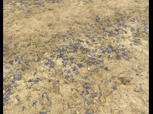 muddy terrain CG Texturen