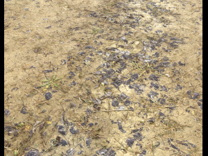 muddy terrain CG Texturen