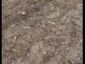 muddy terrain CG Texturen