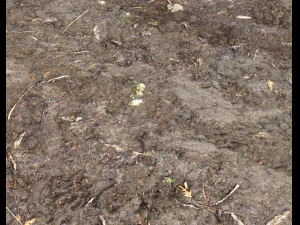 muddy terrain CG Textures